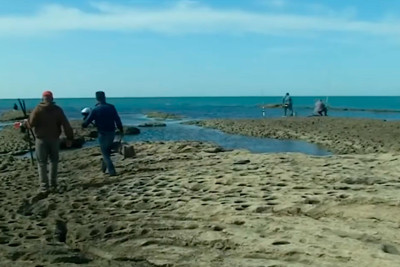 Buzovna qəsəbəsində qayalar zəbt olunaraq dağıdılır: sakinlər İlham Əliyevə müraciət ediblər