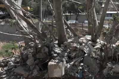 Xətai rayonunda ömrünü başa vurmuş ağaclar sakinləri narahat edir