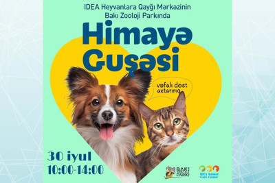 Bakı Zooparkında növbəti dəfə “Himayə güşəsi” fəaliyyət göstərəcək