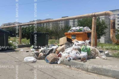 Yasamal: Ümid Əkbərov küçəsində zibil qutuları təmizlənmir