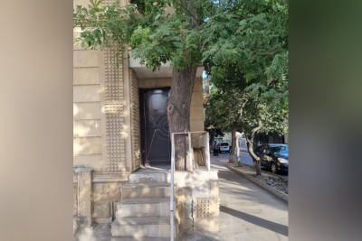 Bakıda daha bir ərazidə ağacın dibi betonlanıb