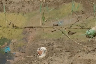 Zığ qəsəbəsinin “Duzlu gölu”: sağlamlıq yoxsa antisanitariya mənbəyidir?