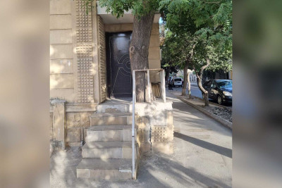 Bakıda betonlanan ağacın dibi təmizlənib