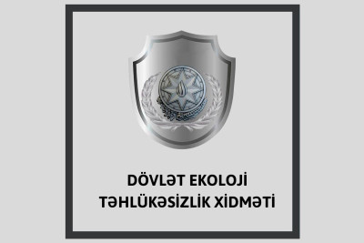 Bakıda özəl klinika tərəfindən ağaclar qanunsuz olaraq kəsilib