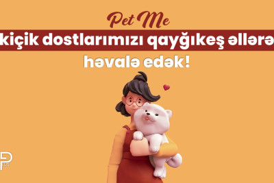 “PetMe” - Bakıda evsiz heyvanlara kömək etmək üçün ilk tətbiq