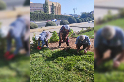 Bakının bu parkında yeni qazon örtüyü salınıb