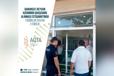 Bakıda daha 17 heyvan kəsimi məntəqəsi sökülüb