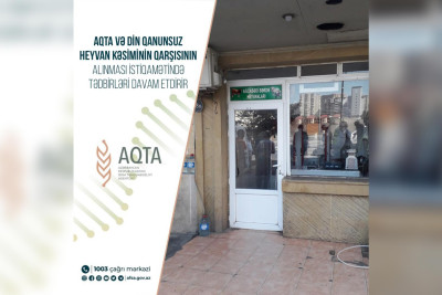 Yasamal rayonunda qanunsuz işləyən heyvan kəsimi məntəqəsi aşkarlanıb