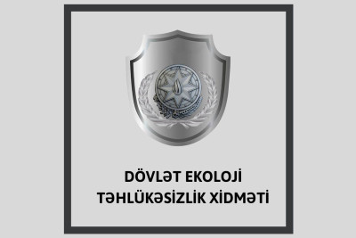 Yasamal rayonunda yaşıllıqların məhv edilməsi təsdiqlənib