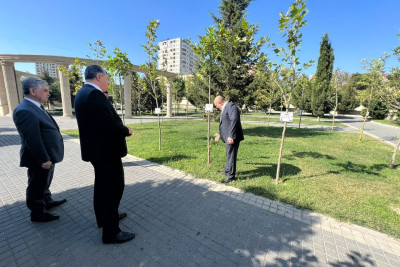 Nəsimidə Vətən müharibəsi şəhidlərinin əziz xatirəsinə yaradılan Zəfər bağına baxış keçirilib