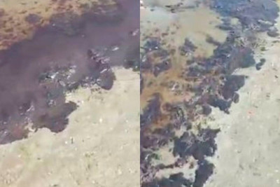 Buzovnada çimərlik ərazisi mazutla çirklənib