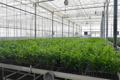 Bakıda “Azbadam” zavodunun rəsmi açılışı baş tutub