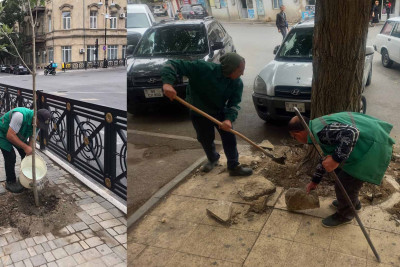Bakıda qanunsuz hasarlar sökülüb
