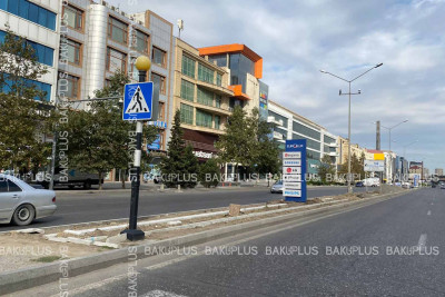 Əhməd Rəcəbli küçəsində yaşıllıq zonası yaradılır