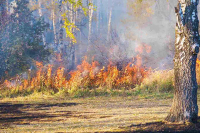 Buzovnada açıq ərazidə daha bir yanğın başlayıb