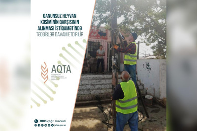 Qaradağ rayonunda daha 6 qanunsuz ət kəsimi məntəqəsi aşkarlanıb