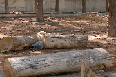 Xətai: Nəsrəddin Tusi küçəsində yaşıllıq ərazinin parklanma yeri üçün məhv edildiyi iddia olunur