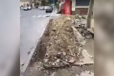 Binəqədi: Əcəmi Naxçıvani küçəsində 1 gecədə 8 ağac kəsilib