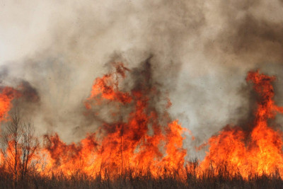Buzovnada 1 hektar ərazidə məişət tullantıları yanıb