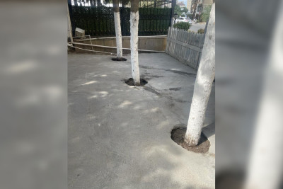 Yasamalda dibi betonlanan ağaclarla bağlı tədbir görülüb