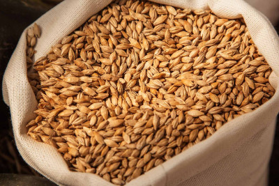 Xəzər rayonunda fermadan arpa ilə dibçəklər oğurlanıb