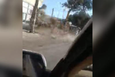 Xəzər rayonu: “Rahat” marketin yaxınlığında 9 ədəd şam ağacı kəsilib