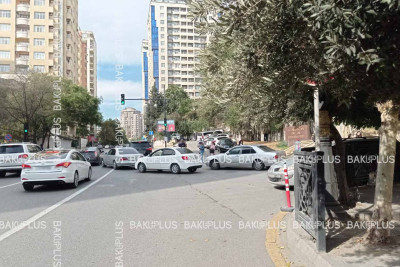 Bakıda ağacın budaqları arasında “gizlənən” yol nişanı sürücülərin cərimələnməsinə səbəb olur