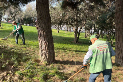 Xətai rayonunda növbəti iməcilik keçirilir