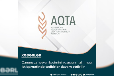 Suraxanı, Xətai və Sabunçu rayonlarında heyvan kəsimi məntəqələri cərimələnib