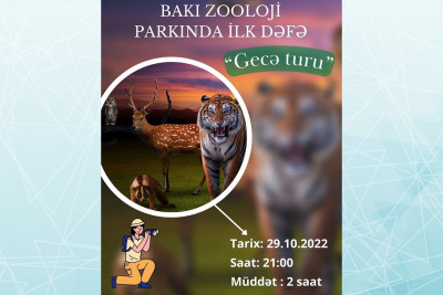 Zooparkda bir gecə
