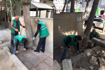 Bakıda daha bir ərazidə ağacların dibləri betonlanıb