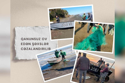 Xəzər dənizi sahillərində qanunsuz ov edən şəxslər tutulublar