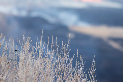 Xəzər rayonunda qamışlıq ərazi yanıb