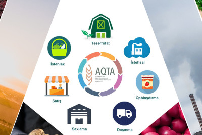 AQTA Bakıda daha 11 obyekti cərimələyib