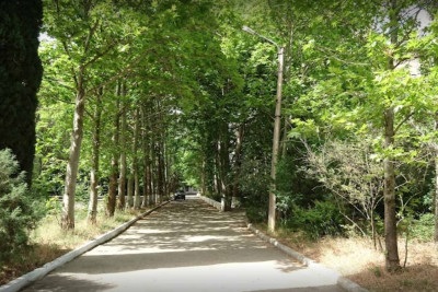 Nəbatat Bağının təmirinə 58 milyon ayrılıb