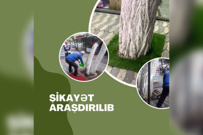Yasamal: Zahid Xəlilov küçəsində ağacların dibləri daşla döşənib