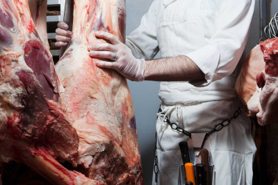 Bakıda 4 heyvan kəsimi məntəqəsində qanun pozuntuları aşkarlanıb