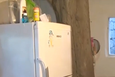 Məcburi köçkün ailəsi mətbəxin ortasında ağac bitən evdə yaşayır
