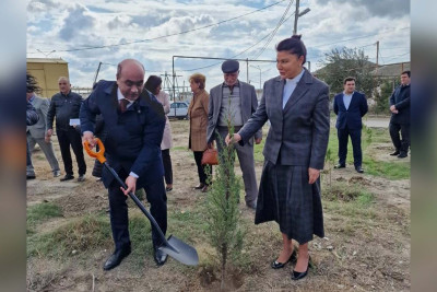 Zığ qəsəbəsində yeni ağaclar əkilib