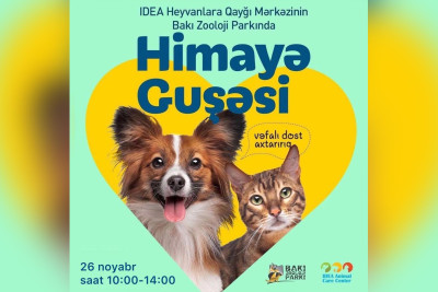 Bakı Zooloji Parkında ev heyvanlarını himayəyə götürmək mümkün olacaq