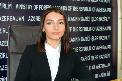Leyla Abdullayeva: Fransa Senatının qətnaməsi normallaşma prosesinə xidmət etmir