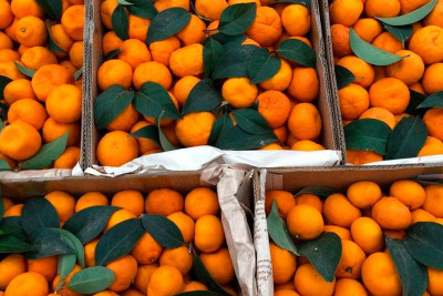 Bakıda növbəti “Kənddən Şəhərə” yarmarkası keçiriləcək