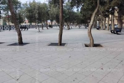 Buzovna qəsəbəsində 600 m uzunluğu olan parkda zibil yeşikləri yoxdur