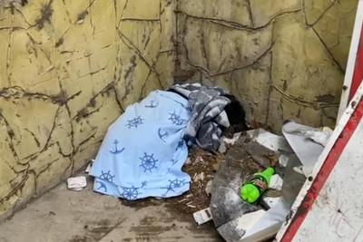 Bakıda naməlum şəxslər hamilə iti vəhşicəsinə döyərək gözlərini kor ediblər