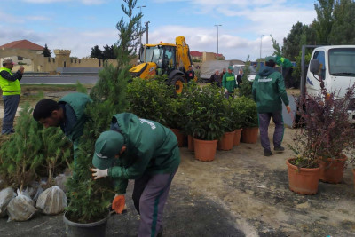 Xəzər rayonunda təmizlik aparılıb