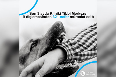 Bakıda it dişləmə ilə bağlı müraciət edənlərin sayı açıqlanıb