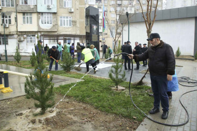 Xətai rayonunda ağacəkmə aksiyası keçirilib