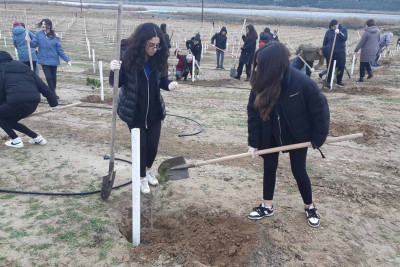 Məktəblilər və skautlar ağacəkmə aksiyasında iştirak ediblər