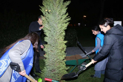 Atatürk parkında hər bir ağacın öz QR kodu olacaq