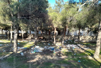 Xırdalanda meşəlik və həyətlər zibil poliqonuna çevrilib